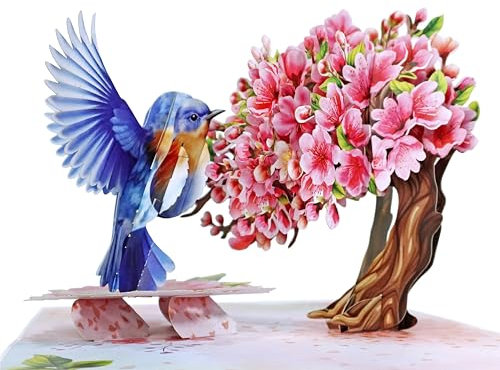 CUTPOPUP Kirsche mit Robin Bird - Geburtstagskarte Frau, Karte Muttertag, Geburtstagskarte, Geburtstagskarte Mann, 3D Valentinskarte, Karte Liebe (Cherry with Robin) US8-AN175DE
