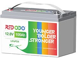 Redodo Batteria Litio 12V 100Ah 1280Wh Batteria LiFePO4 con BMS 100A 4000-15000 Cicli Durata fino a 10 Anni Batteria 12V per Camper Sistema Solare Off-Grid