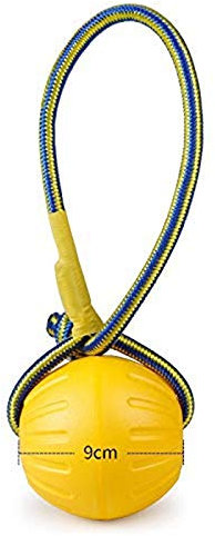 NMD&LR Hundespielzeug Bissresistenter Ball Frisbee, Eva-Schaum Schwimmendes Wasserspielzeug Pet Training Interaktives Spielzeug Ist Für Große, Mittlere Und Kleine Hunde Geeignet