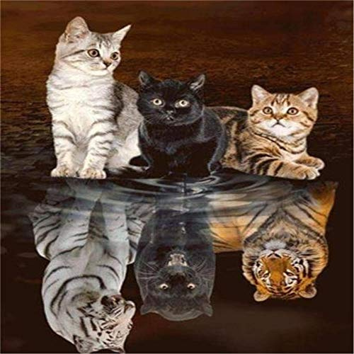 Puzzle 3000 Teile, Drei Katzen Puzzle Erwachsene 3000 Teile, Impossible Puzzle, Puzzle Kinder Mädchen, Geschicklichkeitsspiel für die ganze Familie, Puzzle Erwachsene 3000 Teile-48.03x31.88 Zoll (122