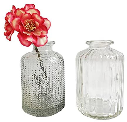 2er Set Glasflaschen Jazz - kleine Vase, Blumenvase, Tischdekoration, Glasvasen, Landhaus (Klar)