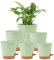 Homeuouz 6 Pack Plastic Plant Pots,Self Watering Plant Pots Indoor,20/17.5/16.5/15/14/12.5CM,Medium Flower Pots with Drainage Holes Saucer and Reservoir for All House Plants(Green)