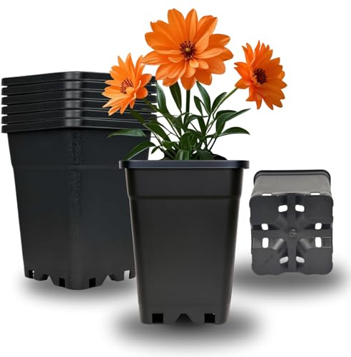 Cultonix Viereckiger Blumentopf 1L – 10er Set | Pflanztopf eckig Kunststoff, Anzuchttöpfe für Balkon & Terrasse, Blumentöpfe Indoor Outdoor, Einsatz für Pflanzkübel groß außen