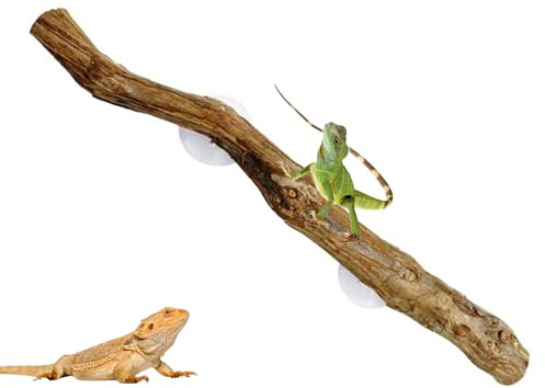 Terrarium Kletterzweig Schlange - Reptilienzweige zum Klettern groß | Natürliches rutschfestes Reptilien-Terrarium Klettern Wurzel Lebensraum Dekorationen für Bartagamagamen Geckos