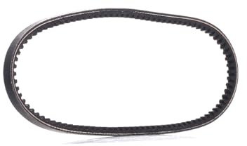 DAYCO 10A0675C Gürtel | Kompatibel mit: AUDI 80 B2 Stufenheck, AUTOBIANCHI Y10, CITROËN JUMPY I, JUMPY I Kasten, FIAT PANDA, PANDA Kasten/Schrägheck
