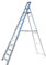 12 Step Industrial Platform Step Ladder/Ladders