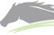 German Riding Gurtzügel ohne Stege Warmblut schwarz Zaumhaken