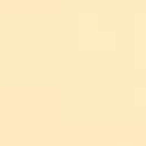 40x50cm Farbfolie Farbfilter Scheinwerfer Folie Orange 1/8 CTO Professionell 4 Stück Transparente Farbkorrektur Beleuchtungs Blitz Folien für 800W Rot Licht Flash Studio Foto Fotografie