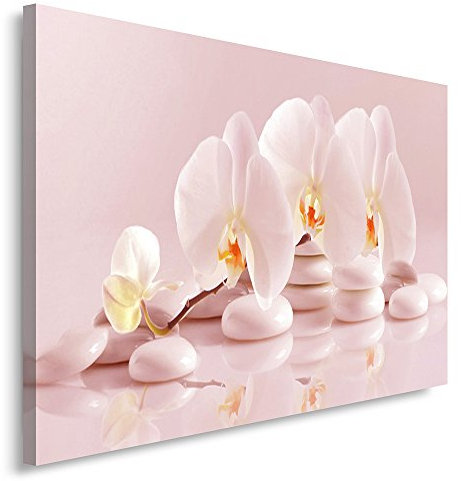 Feeby Impression Sur Toile Fleurs orchidée 70x50 cm 1 pièce Tableaux Tableau Mural Image Moderne Photo Décoration Murale Artistique Photographie Design Chambre Salon Cuisine Nature Pierres Zen