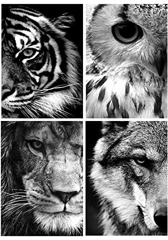 Diamond Painting 4 Stück Auge 30x40 cm - Tiger, Wolf, Löwe, Eule Diamant Bilder - Malen Nach Zahlen für Erwachsene