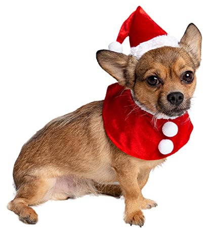 Pet Krewe Weihnachtsmann-Kostüm für Hunde, kleine Mütze und Halsbänder, ideal für Halloween, Partys, Fotoshootings, Geschenke für Hundeliebhaber