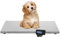 Paketwaage Plattformwaage 103x53cm Versandwaage Veterinärwaage Industriewaag Tierwaage Hundewaage Digitalwaage, Großes Display, Wiegebereich 150-300 kg