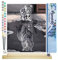 Figured'Art Peinture par Numéro Adulte Chaton Reflet Tigre - Activité Manuelle Kit de Loisir Créatif DIY Numéro d'Art Complet - 40x50cm avec châssis en bois à monter