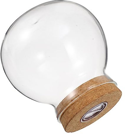 DRESSOOS Aquarium Landschaft Flasche Pflanze Terrarium Glas Vase Home Decor