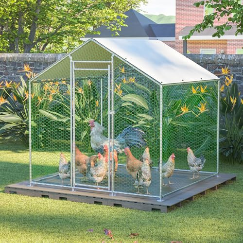 Hühnerstall Freilaufgehege Voliere Hasenstall – Winterfester 2x2x2m Stall mit Sicherheitsschloss & Voliere, für Kleintiere wie Kaninchen und Enten Draußen