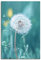 ARTLAND Wanddeko Leinwand Bilder Wandbild 40 x 60 cm Botanik Mikro Makro Pflanzen Blumen Pusteblume Frühling Sommer T2RV