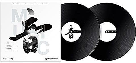 Control Vinyl (Black) - RB-VD2-K (Pair) - DJ Control