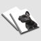 Primus Print Spiral-Notizblock Schreibblock Design-Block Collegeblock - A4 - kariert - 80 Blatt / 160 Seiten - Schule - Büro - Kinder (1, französische Bulldogge)