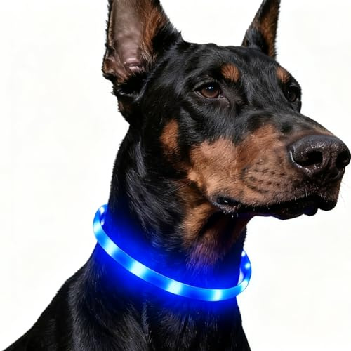 Nepfaivy Leuchthalsband Hund USB Aufladbar, Hundehalsband Leuchtend, Blau | Wasserdichtes LED Halsband Hund mit Verstellbarer Länge für Mittlere bis Große Hunde, 4 Beleuchtungsmodi für Sicherheit