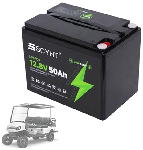SSCYHT Batteria al Litio 12V 50Ah Batteria LiFePO4 50Ah Batterie agli ioni di Litio 12V Batterie di Ricambio per Pannelli solari per Motore 250W a 650W con BMS e Maniglia,12v50ah 1pack