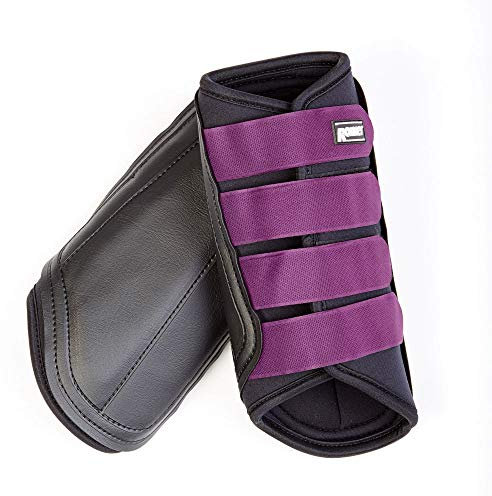 Roma - Pferde Gamaschen Farb- und GröÃŸenauswahl - Pony, Schwarz/Lila