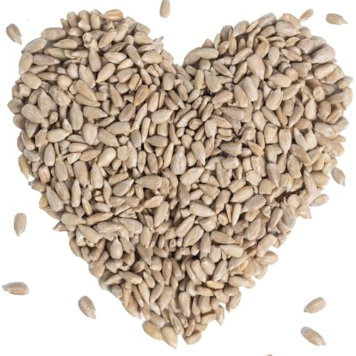 Lyra Pet® | 10 kg Geschälte Sonnenblumenkerne | HK Bulgarien | Wildvogelfutter für das Ganze Jahr | Hochwertiges Schalenfreies Streufutter | Schnabelgerechter Gourmetsnack | Für Alle Körnerfresser | Ganzjähriges Wildvogelfutter - Ideal für Jungtiere - Wertvolles Streufutter - Energiespender ohne Schale - Sommer und Winter