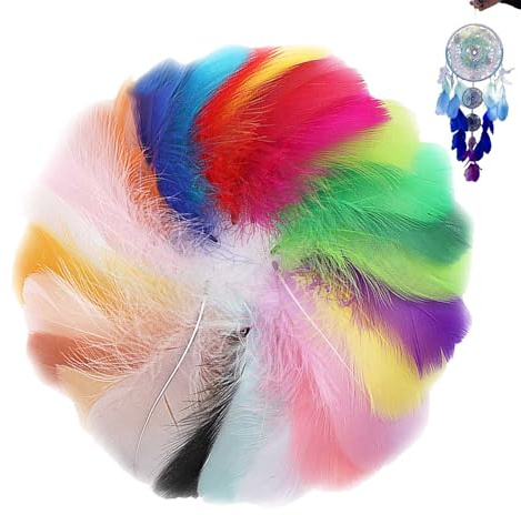 Bunte Federn, 300 Stück Bunte Natürliche Feder Naturfedern für DIY Handwerk, natürliche bunte Federn für Kunsthandwerk, Schmuck, Hochzeit, 7-12 cm Länge