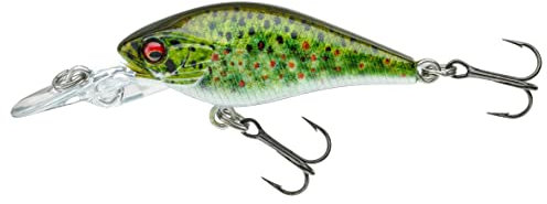 Daiwa Prorex Baby CB 40 MR live Brown tr. Wobbler