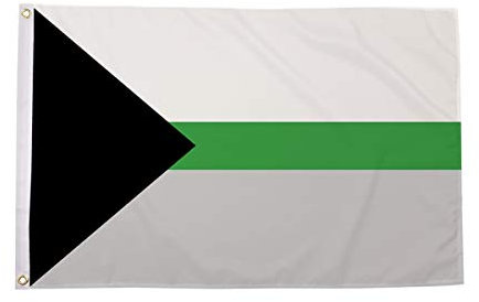 AZ FLAG - Flagge Demiromantik - 90x60 cm - Demiromantisch - LGBT Fahne 100% Polyester mit Messing-Ösen - UV-beständig - Vives Farben - 50g