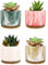 Set 4 Pezzi Vasi In Ceramica Con Decorazioni Fiori Piante Grasse Con Sotto Vaso In Bambù Foro Centrale Vasetti Cactus Decorazione Interno Esterno Con Foro Scarico Contenitore - 6Shades