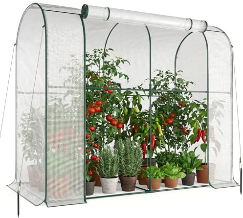 SUNYRISY Gewächshaus Tomatengewächshaus 200x170x100 cm, Begehbarers Tomaten Gewächshaus Foliengewächshaus Balkon Outdoor, Weiß