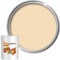 Landlords Anti Damp Paint | Matt Finish | Prevent Build-up of Mildew | Paint for Wall and Ceiling | Anti Condensation and Mould | 5L Matchstick