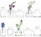 Winter Shore Kleine Glasvasen für Tischdeko [10er-Pack] - Verschiedene Durchsichtige Mini Vasen für Blumen - Kleine Vasen für Tischdeko Vintage - Quadratische, Rechteckige, Runde, Niedrige & Hohe Form