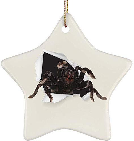 Christbaumschmuck Mit Hanfseil Weihnachtsanhänger Keramik Christbaumschmuck Anhänger Lustige Vogelspinne, Die Aus Einer Rissigen Wand Kommt