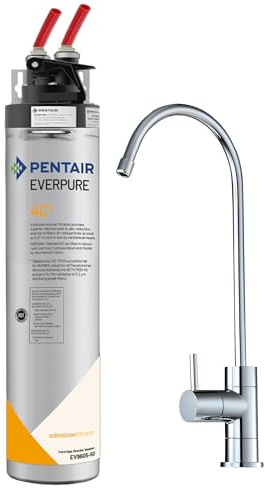 Depuratore Acqua Everpure 4C2 0,2 Micron con Rubinetto 1 Via