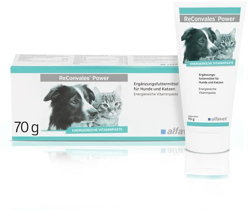 Alfavet ReConvales Power, Diät-Ergänzungsfuttermittel für Hunde und Katzen, Päppelpaste bei Untergewicht, Tube 70g