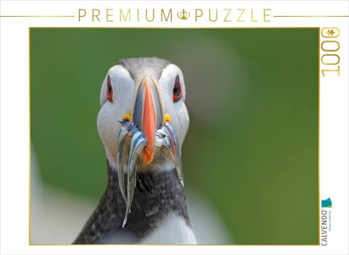 CALVENDO Puzzle EIN Motiv aus dem Kalender Papageitaucher | 1000 Teile Lege-Größe 64 x 48 cm Foto-Puzzle für glückliche Stunden