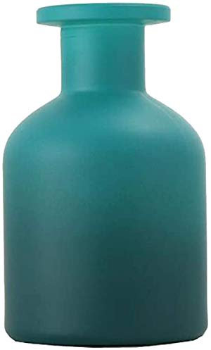 erioctry 1PCS 150ml/5oz Glass Diffuser Bottle Aromatherapy Jar Exquisite Essential Oils Container Fragrance Accessories Use for DIY Diffuser Sticks Essential Oils Crafts Decor Gift