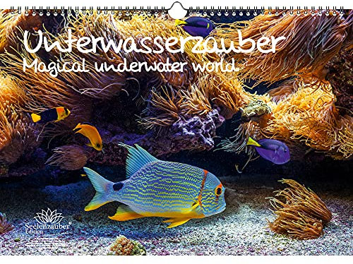 Unterwasserzauber DIN A3 Kalender - Immerwährender Kalender Unterwasser - Seelenzauber
