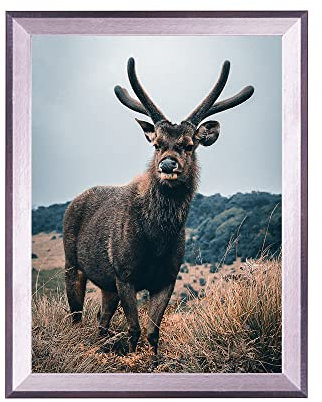 Rahmendesign24 Posterrahmen Rio 45x60 Silber (hochglanz) Fotorahmen, Wechselrahmen, Bilderrahmen
