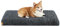 Feandrea Hundebett, orthopädisches Hundekissen, mit Noppenschaumstoff gepolstert, Bezug abnehmbar und waschbar, Größe L, für mittlere Hunde, 95 x 60 x 8 cm, dunkelgrau PGW212G02