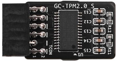 Tiardey TPM 2.0 Modul, Verschlüsselungssicherheitsmodul, LCP SPI TPM2.0 Modul 12 Pin für GABYTE Motherboards, Win 11