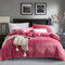 Boqingzhu Flauschige Plüsch Bettwäsche 135x200cm Rosa Rot Nicky Teddy Fleece Cashmere Touch Winter Warm Bettwäsche Set 135x200cm Bettbezug mit Reißverschluss und Kissenbezug 80x80cm