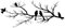 ESTART Metal Birds Wall Art, Metal Vivid Birds on Branch Silhouette Wall Decor Black Leaves with Bird Outdoor Hanging Wall Sculpture for Home Balcony Garden