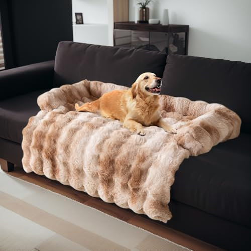 OKYUK Hundebett, Super bequemer Hundekorb, Hundesofa, Sofabezug, Handwäsche, rutschfest, geeignet für Hunde (Shaggy Gradient Curry, L 90 x B 90 x H 13 cm)