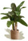 Maia Shop Plantas Artificiales Decorativas - Platanera Artificial 120 cm con Tronco Natural, Arbol Artificial, Planta Artificial Realista, Decoración Hogar