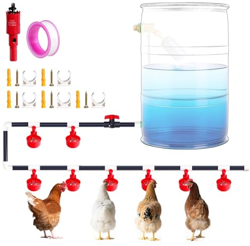 Automatische Hühnertränkebecher mit PVC-T-Stücken und PVC-Rohr, Druckregler für Geflügelwasserversorgung