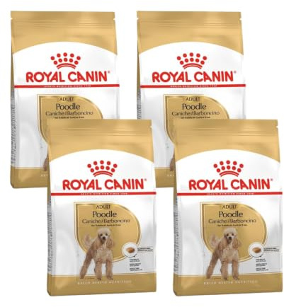 Poodle Adult | Trockenfutter für Hunde | 4 x 500 g | Für Pudel ab 10. Monat | Royal Canin | Alleinfuttermittel | Mit ausgewählten Proteinen | 4er Pack