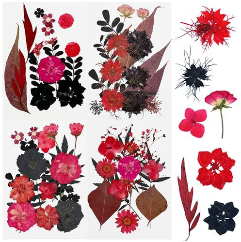 Cayway 64 Stück NatüRliche Getrocknete Gepresste Blumen für Harz, DIY Getrocknete Gepresste Blätter Blumen für Weihnachten Kunst Basteln DIY Harz Scrapbooking Handwerk (Rot-Schwarz-3)