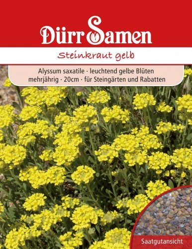 Dürr Samen 0734 Steinkraut gelb (Steinkrautsamen)